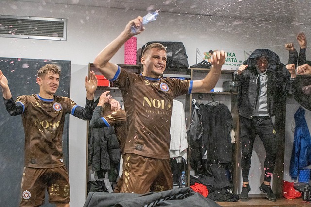 领域专家学 领域专家学