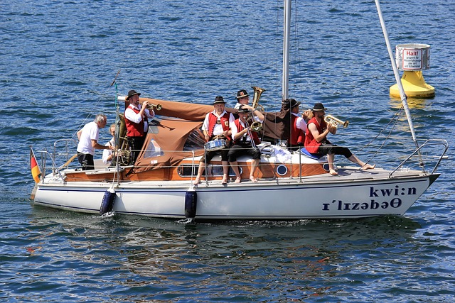 专业向导的 专业向导的