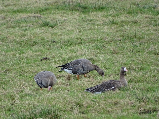 们心怀热爱 们心怀热爱