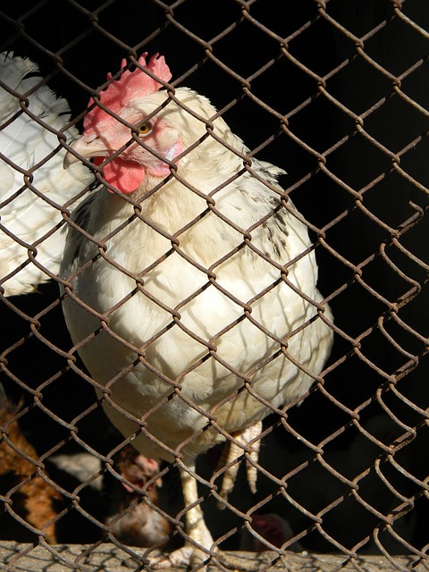 国青最后热 国青最后热