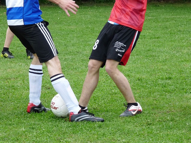 畏和无畏精 畏和无畏精