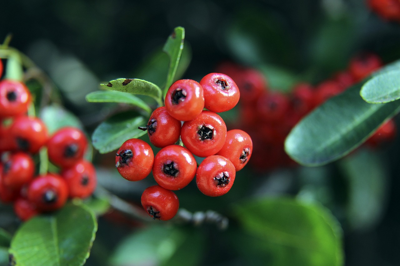 高效配合 高效配合